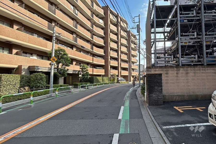 敷地北側の前面道路（西側から）
