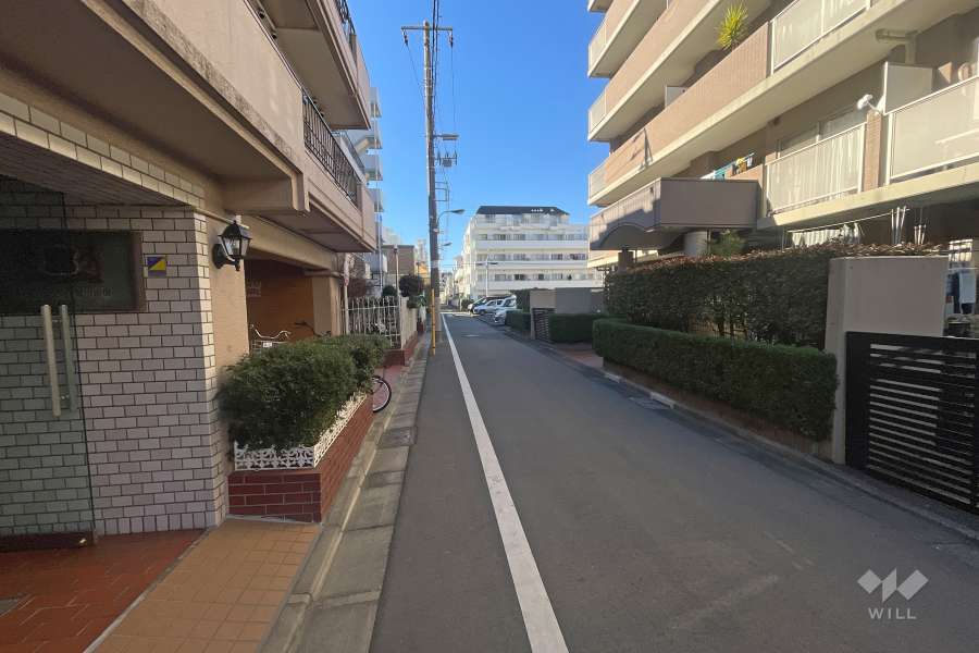 敷地南側の前面道路（東側から）