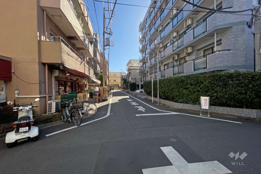 敷地西側の前面道路（北側から）