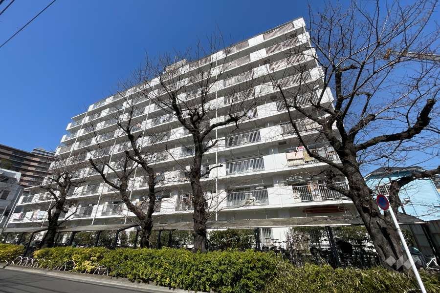 グリーンコーポ町屋の外観（南東側から）