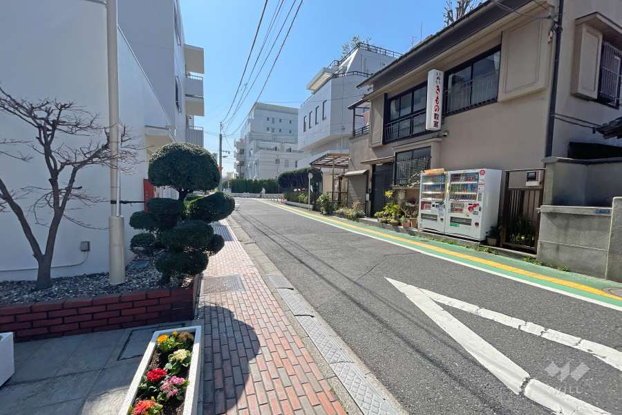 敷地西側の前面道路（北側から）