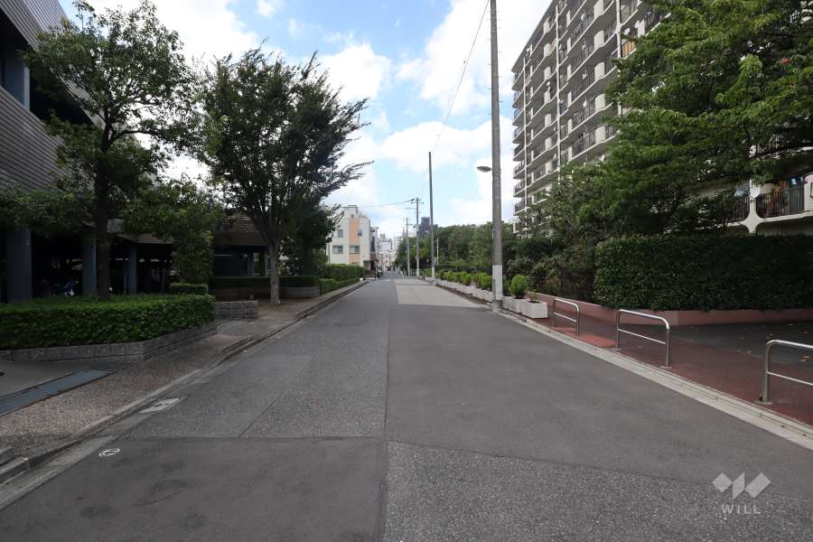 敷地北東側の前面道路（南東側から）