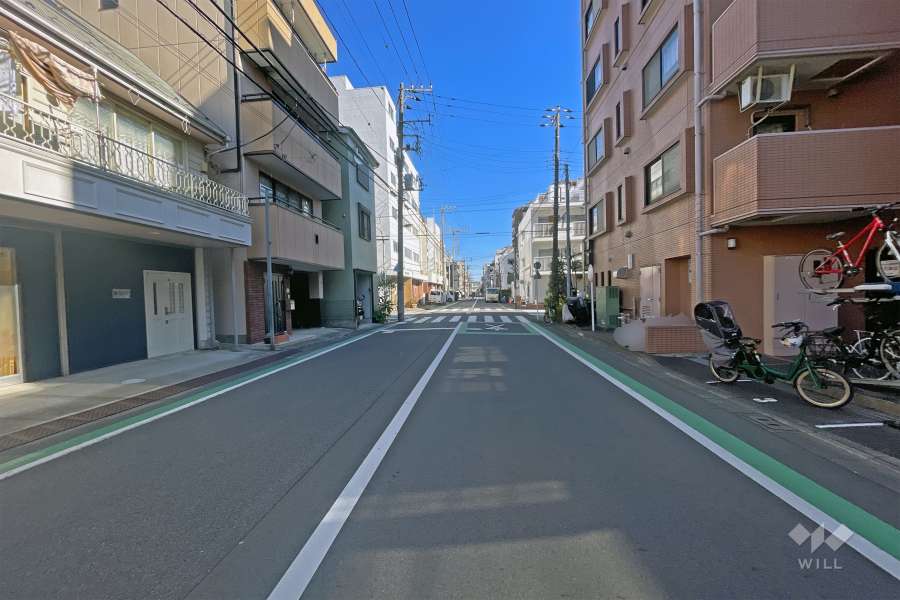敷地の東側前面道路（北側から）
