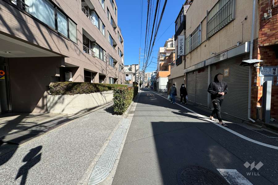 敷地の東側前面道路（南側から）