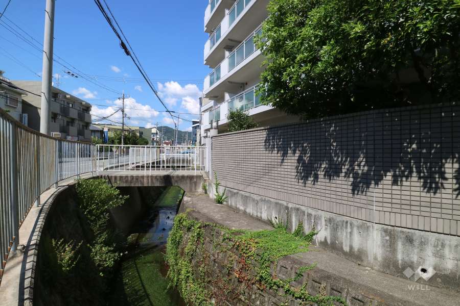 敷地と敷地西側の前面道路との間を流れる水路