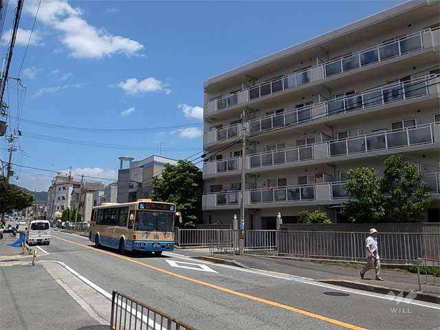 敷地西側はバス通りに面しています。