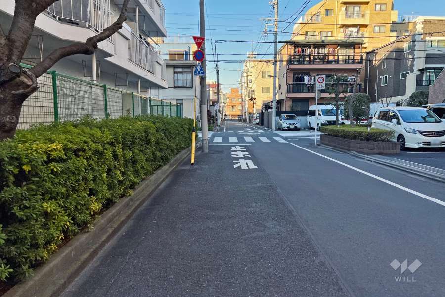 敷地東側の前面道路（南側から）