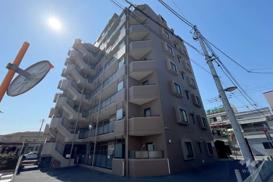ダイアパレス町屋ファーストステージの外観（北東側から）