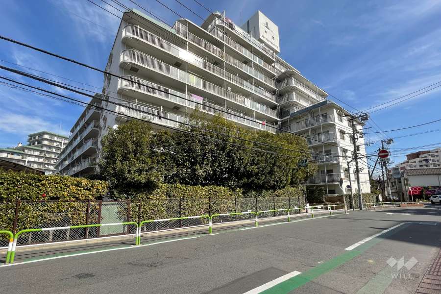 ニュー田端スカイハイツの外観（南西側から）