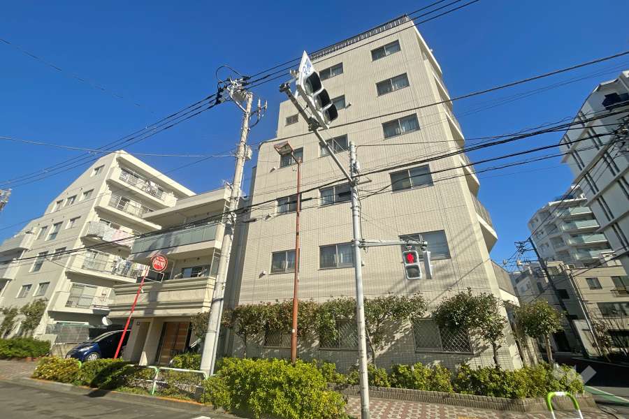 ミオカステーロ尾久の外観（南西側から）