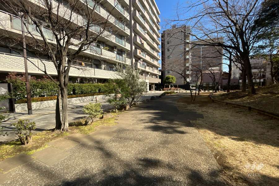 敷地南側の前面道路（西側から）