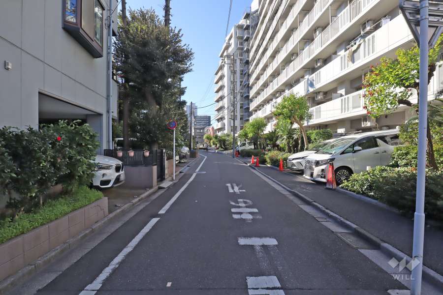 敷地東側の前面道路(北側から)