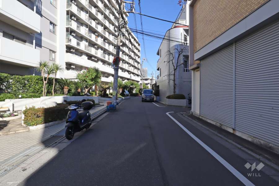 敷地東側の前面道路(南側から)