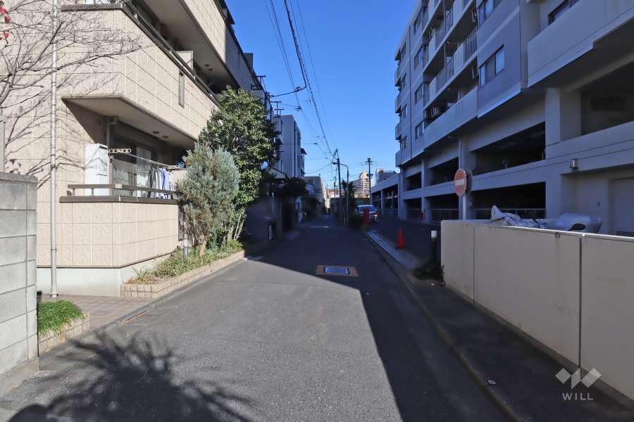 敷地西側の前面道路(南側から)