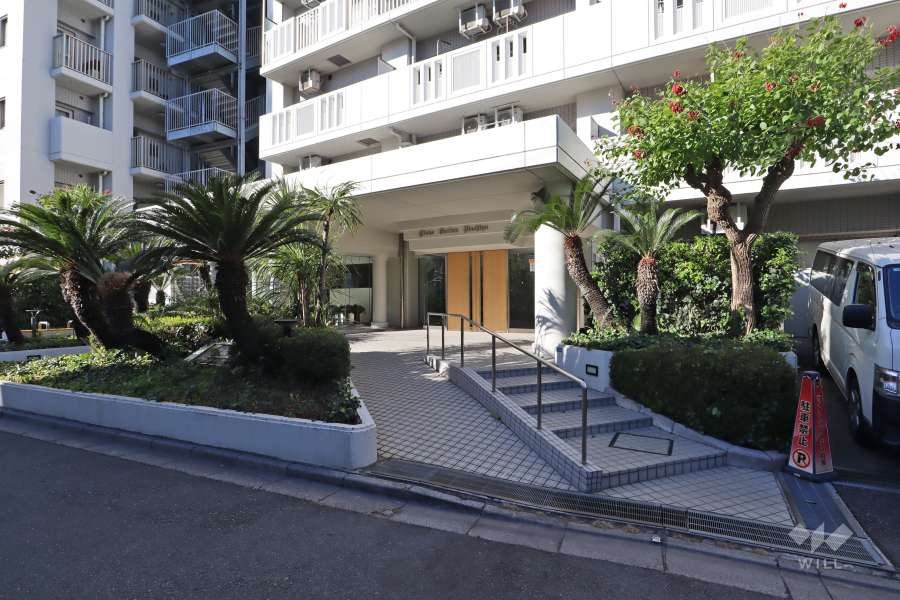 敷地の出入り口