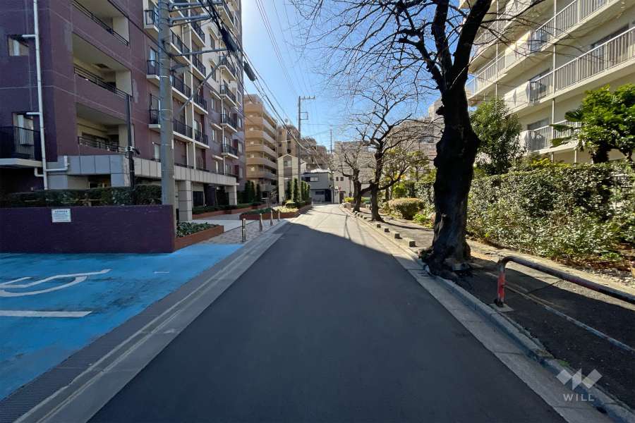 敷地西側の前面道路　