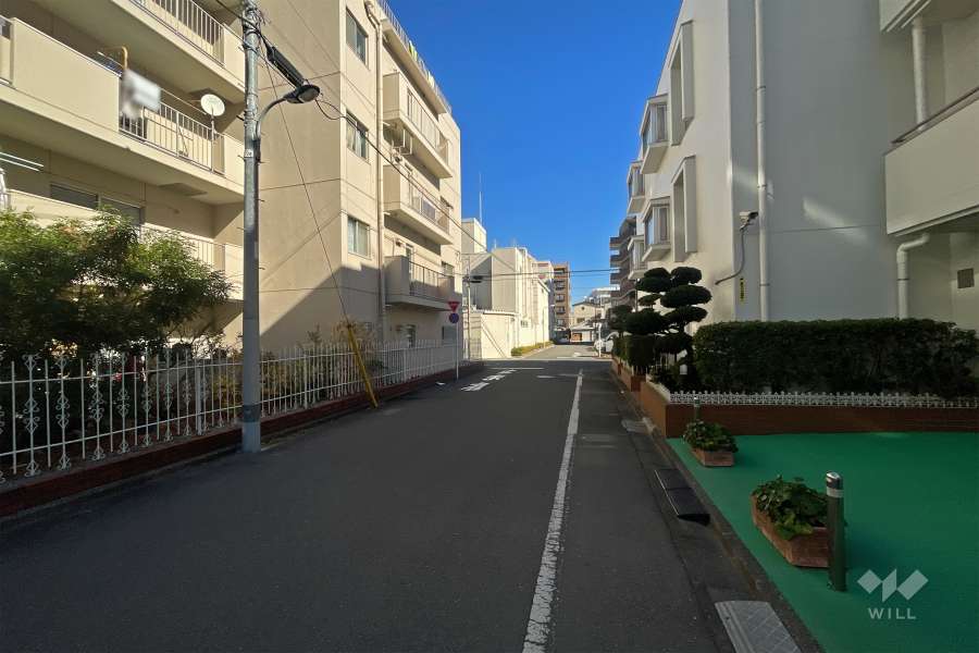 敷地南側の前面道路（西側から）