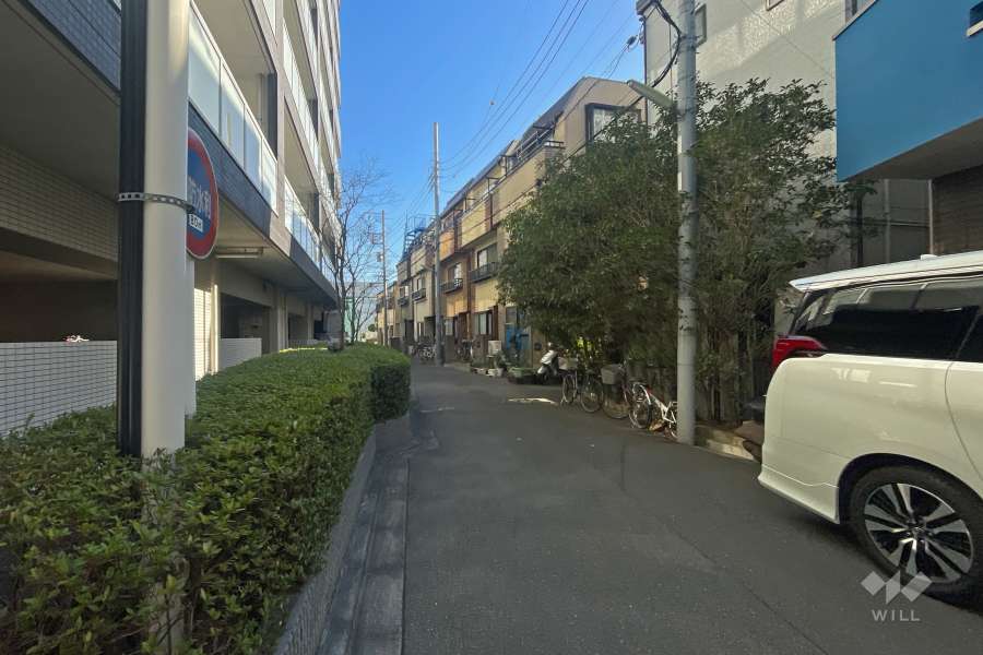 敷地南側の前面道路（西側から）