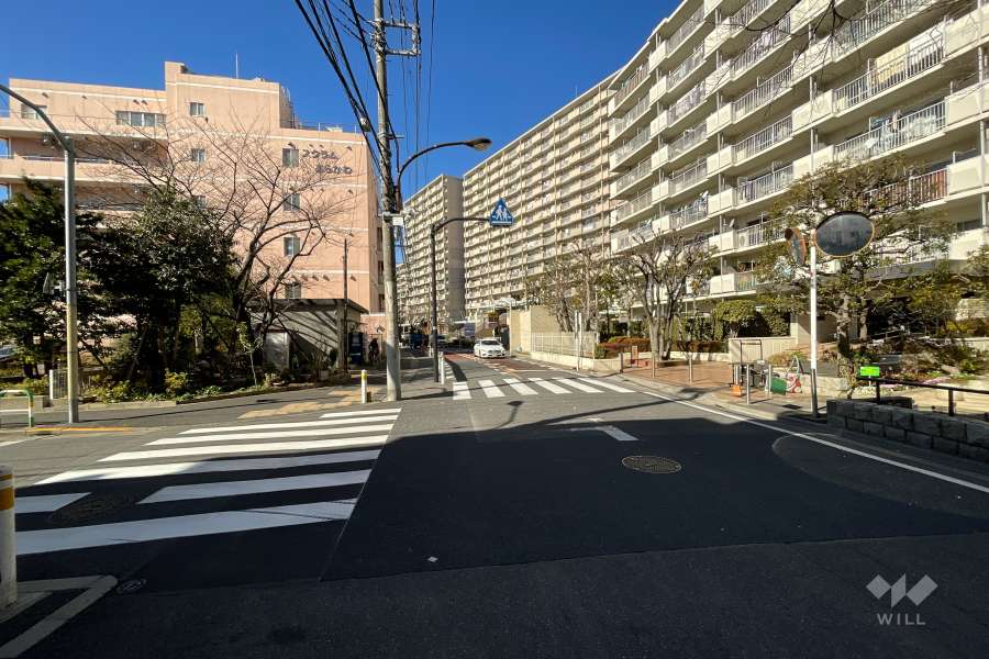 敷地南側の前面道路（東側から）