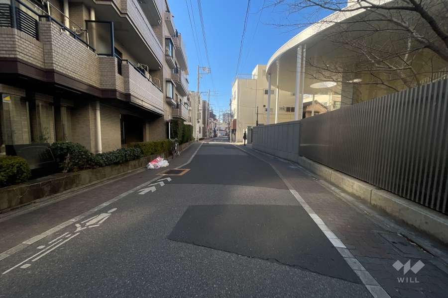 敷地の南側前面道路（西側から）