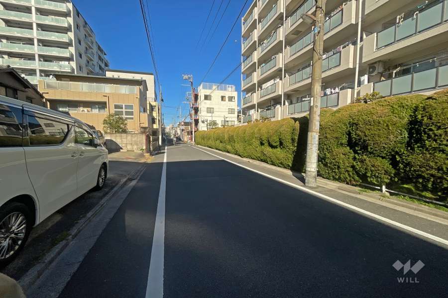 敷地西側の前面道路（南側から）