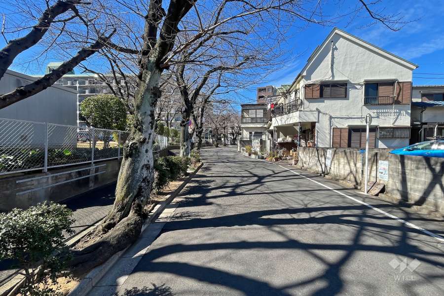 敷地北側の前面道路（東側から）