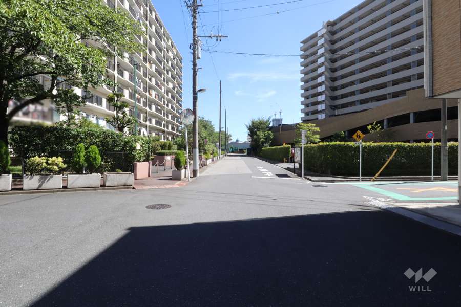 敷地南西側の前面道路