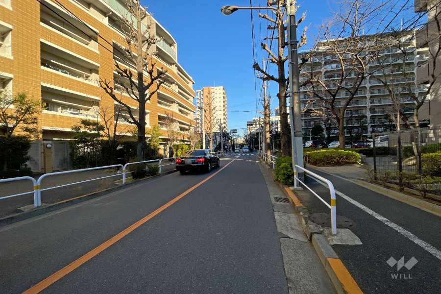 敷地北側の前面道路（西側から）
