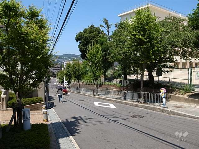 敷地北側の前面道路。道を挟んで五月丘小学校があります。