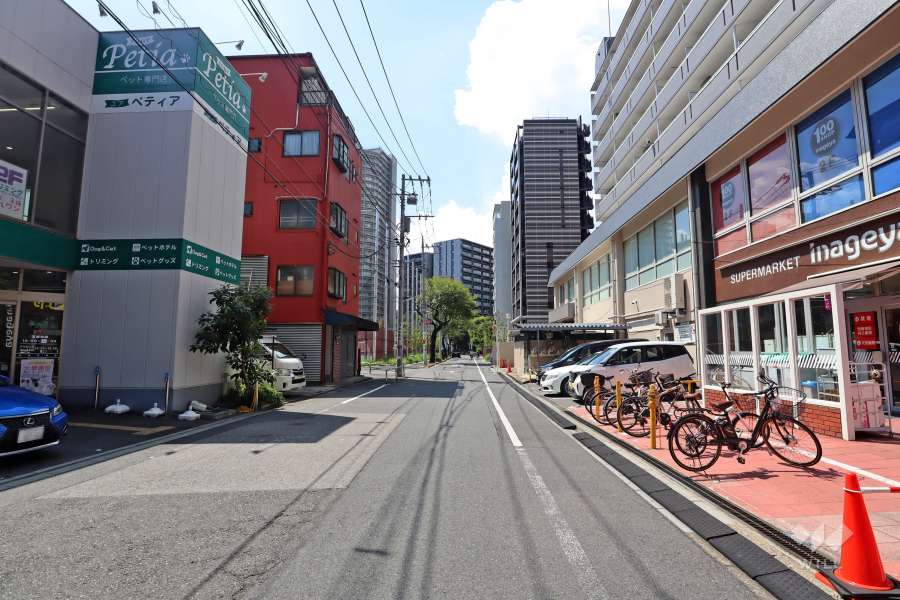 敷地南側の前面道路(東側から)