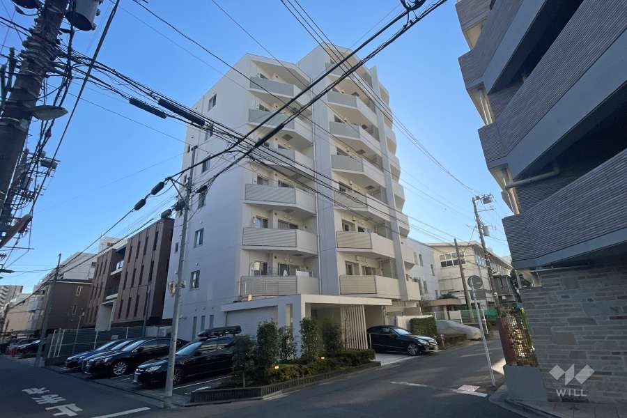 ミューズプレイスの外観（北西側から）