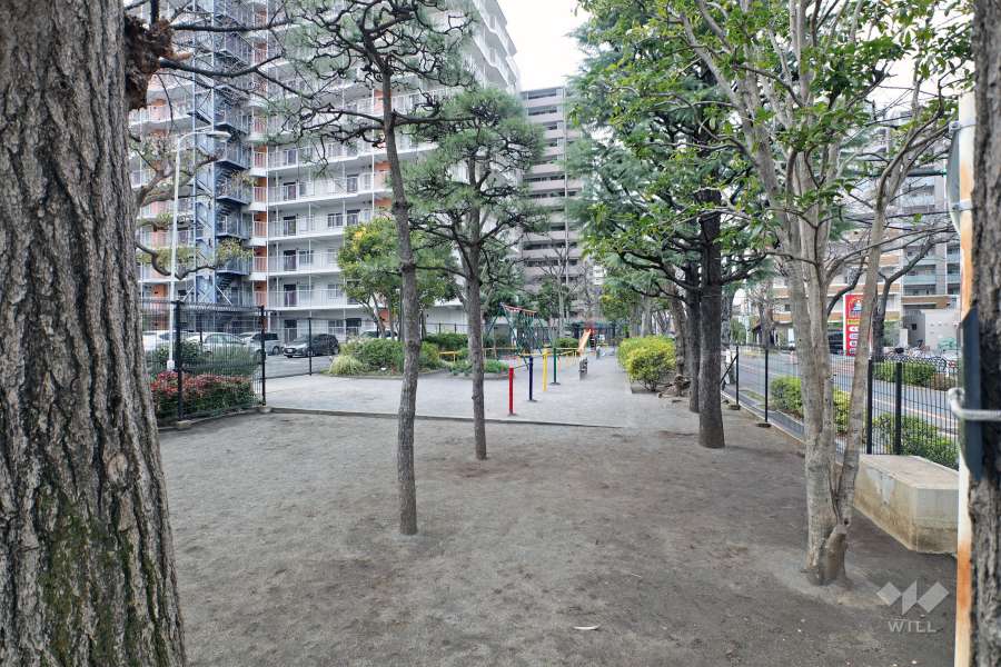 敷地内の広場