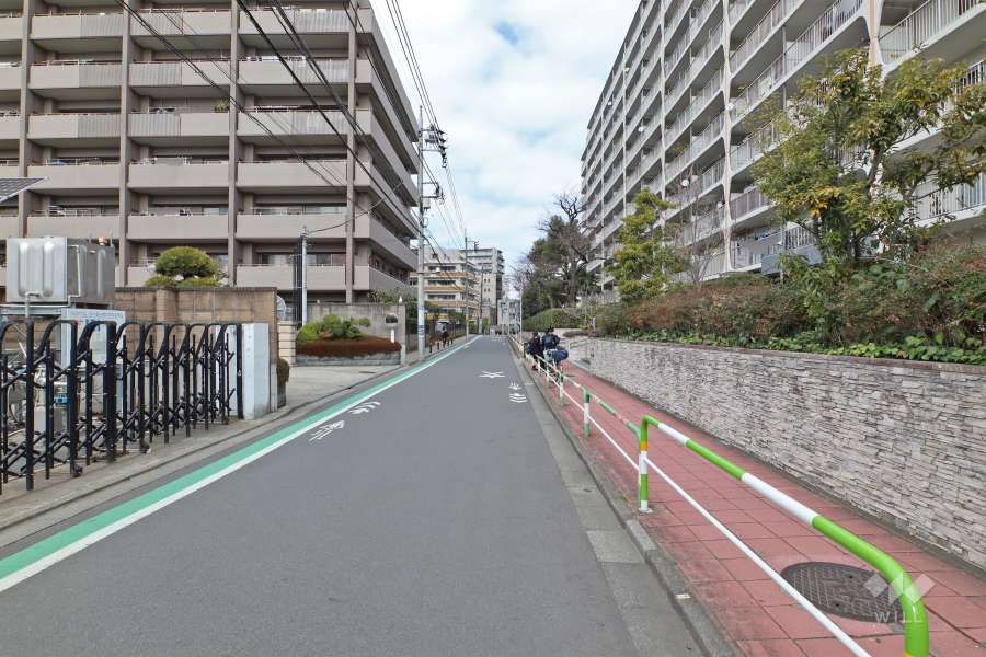 敷地の西側道路（南側から）