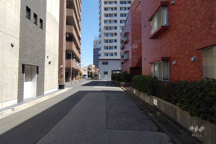 敷地の北側前面道路（西側から）