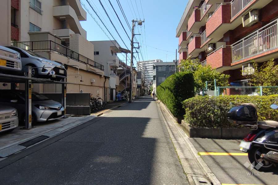 敷地の南側前面道路（東側から）
