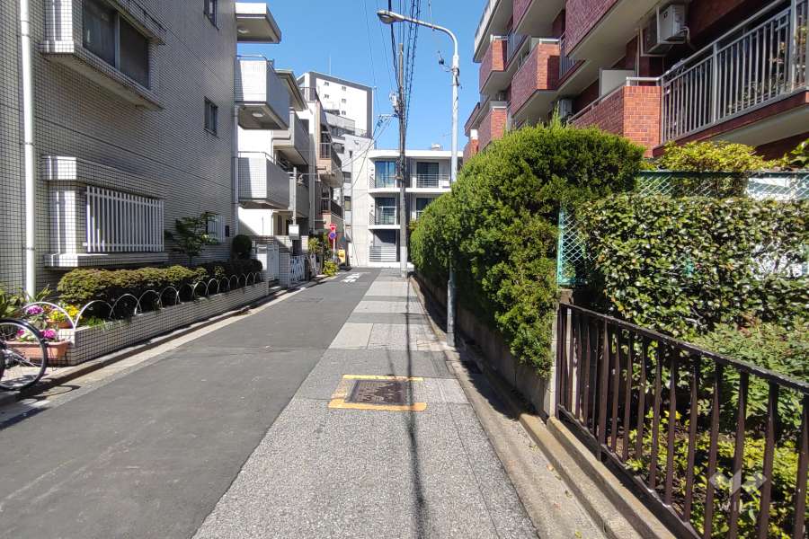 敷地の西側前面道路（南側から）