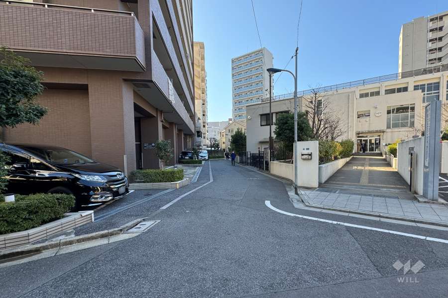 敷地の西側前面道路（北側から）