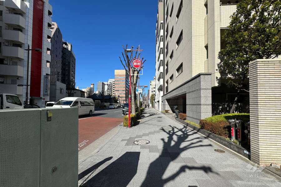 敷地の南西側前面道路（南東側から）