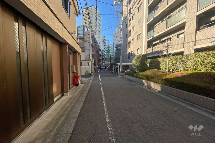 敷地の東側前面道路（北側から）