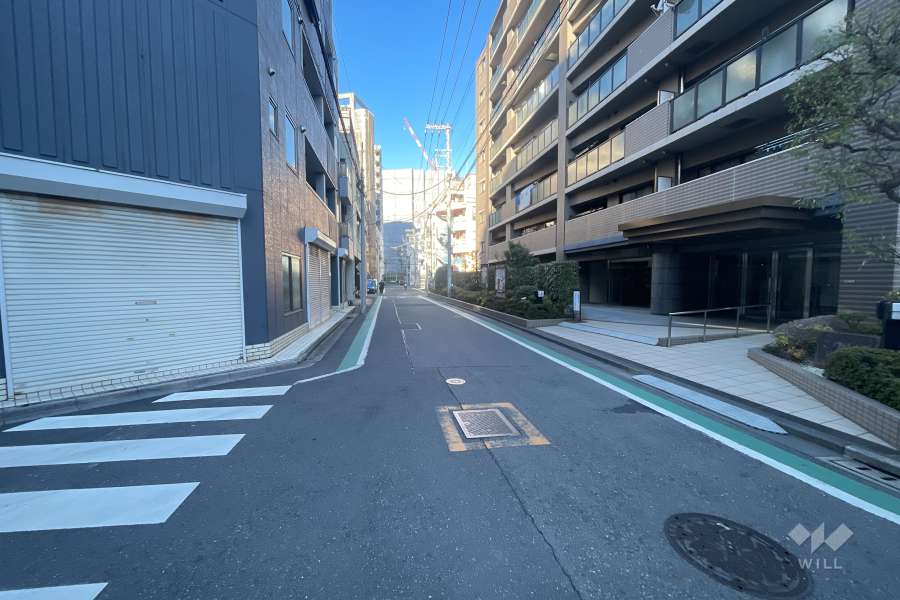 敷地の南側前面道路（東側から）