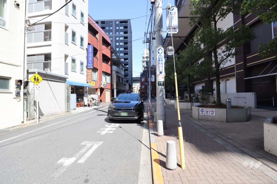 敷地北西側前面道路（南西側から）
