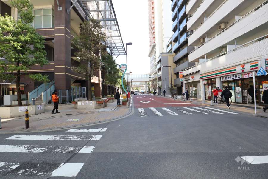 敷地南西側前面道路（北西側から）