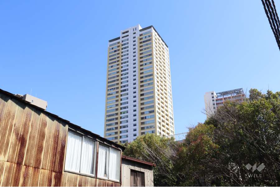 ステーションプラザタワーの遠景（西側から）