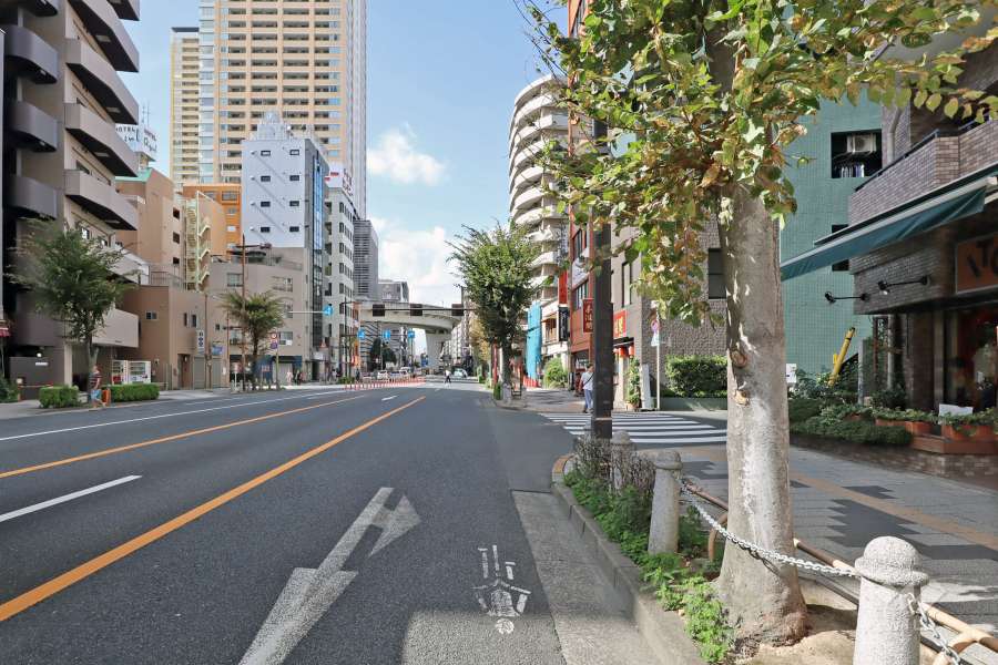 敷地南西側の前面道路（南東側から）は、尾久通りです。