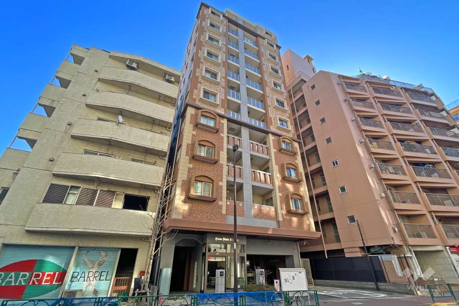 ライオンズヴィアーレ町屋の外観（北側から）