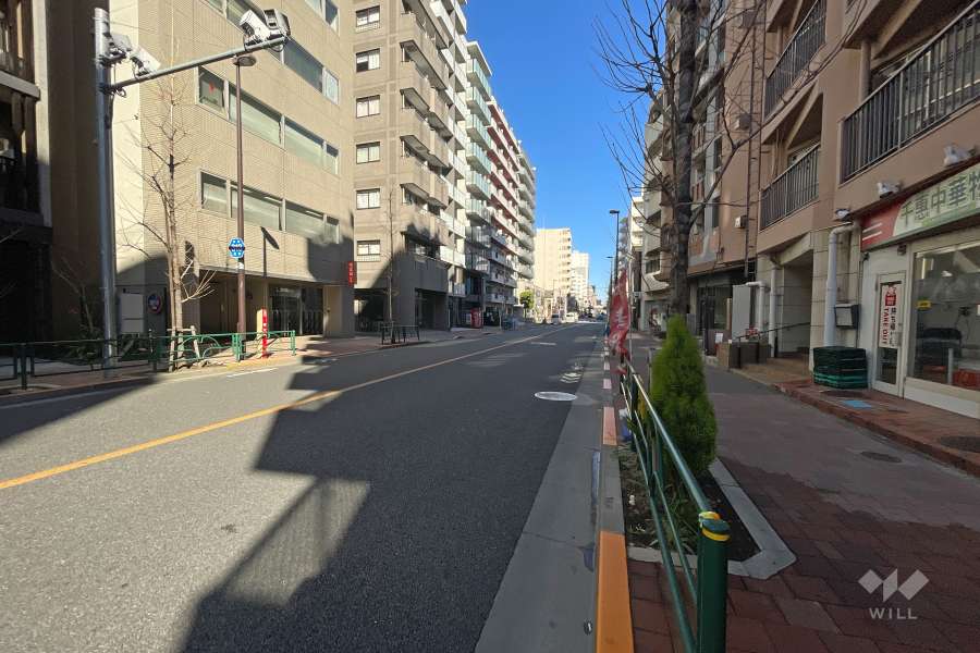 敷地西側の前面道路（南側から）