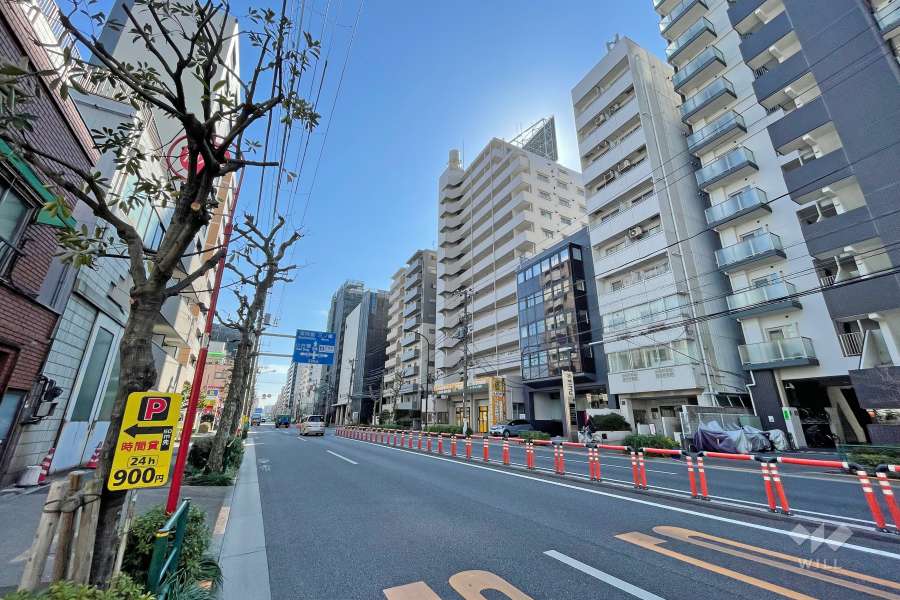 敷地北東側の前面道路（北西側から）