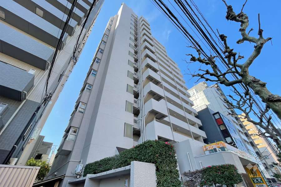 ハイライフ田端の外観（南東側から）