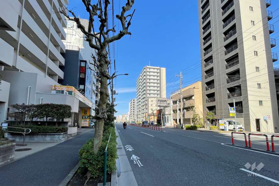 敷地北東側の前面道路　