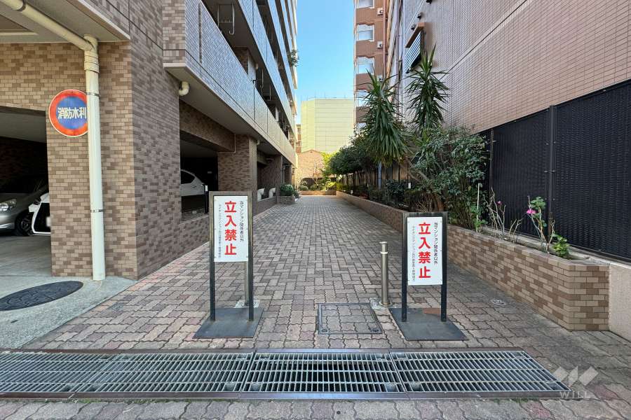 敷地入り口　
